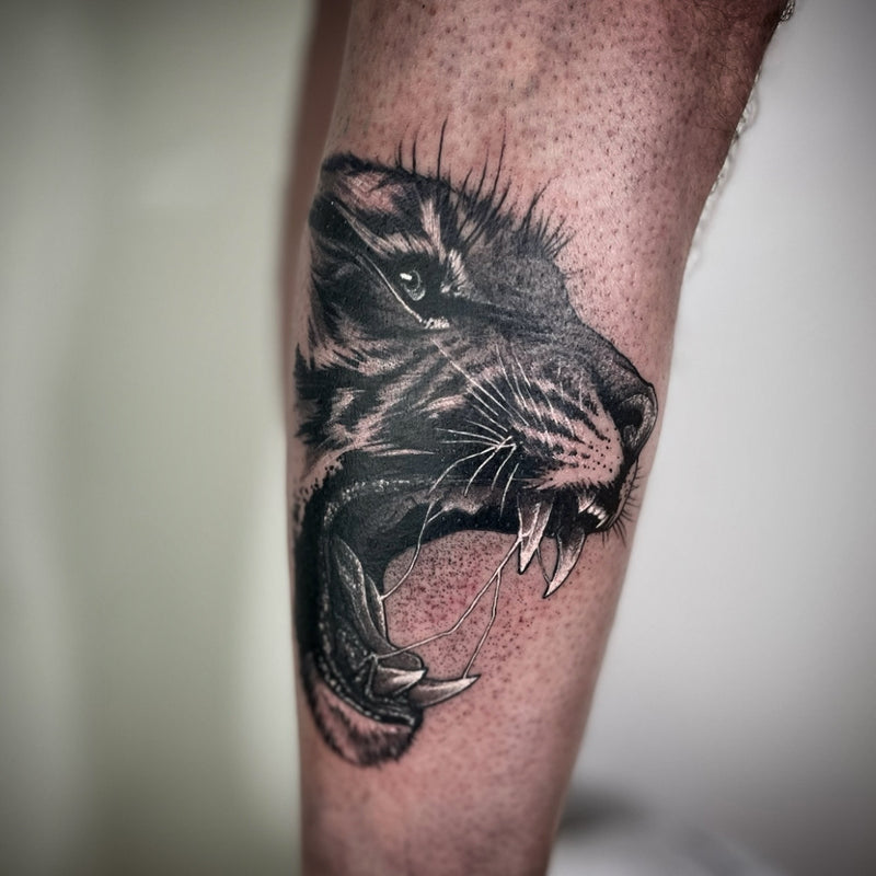 A close-up of a person's leg featuring a detailed black and gray tattoo of a snarling tiger head.