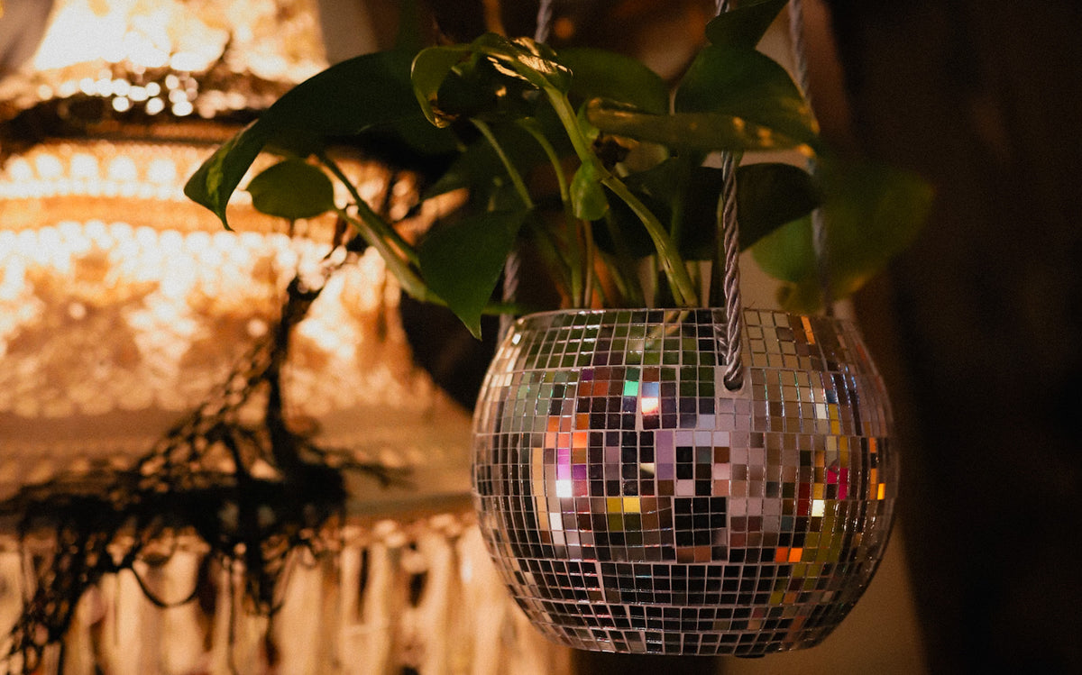 A green potted plant hanging in a silver disco ball planter, with warm, glowing bokeh background lights.