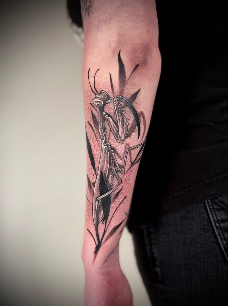 A close-up of a person's forearm featuring a detailed black and gray tattoo of a praying mantis among leaves.