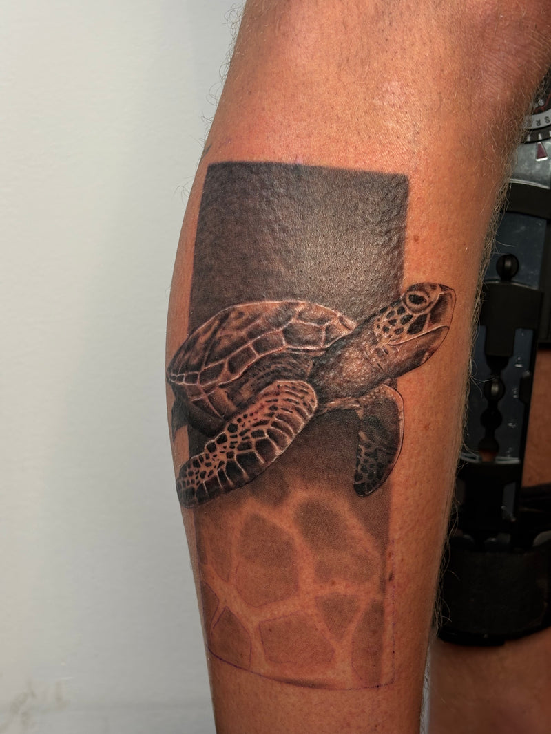 A close-up of a person's leg featuring a realistic black and gray sea turtle tattoo 