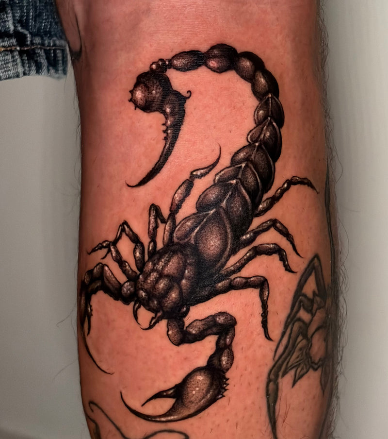 A large, detailed black and gray shaded tattoo of a scorpion on human skin, showing the tattoo design applied on a leg.